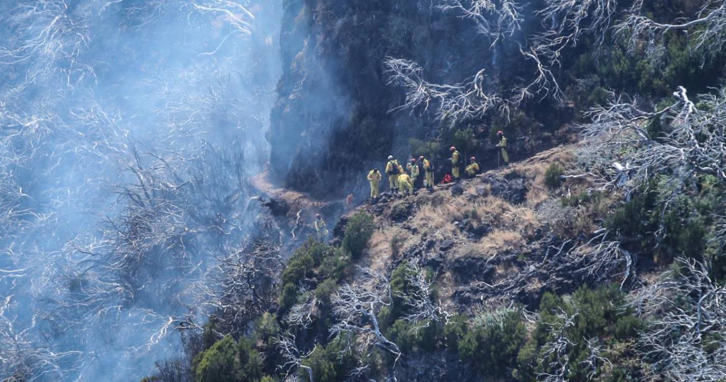 GEOTA defende plano urgente para estabilizar solos antes das chuvas