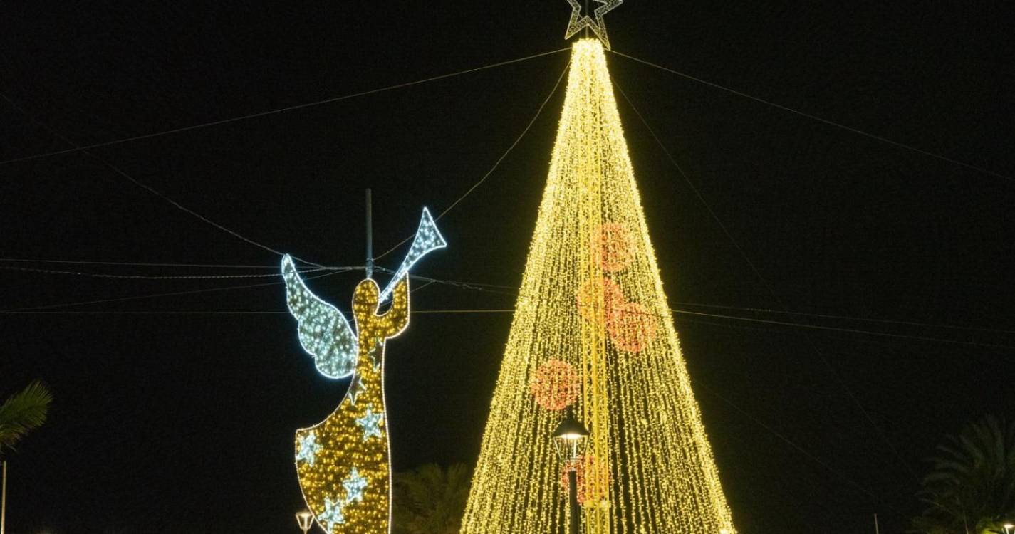 Veja a iluminação e decoração de Natal em Santa Cruz