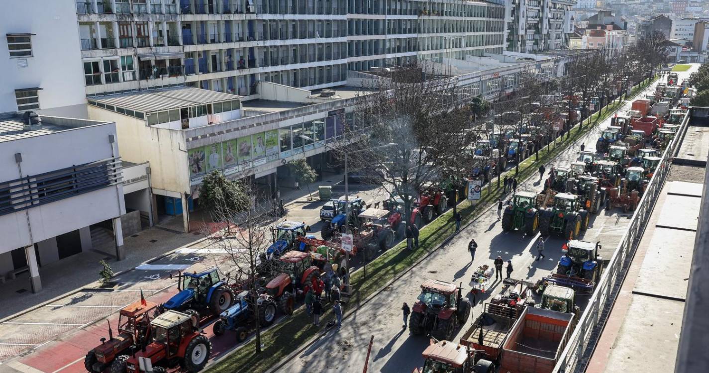 Agricultores: Ministra da Agricultura reúne-se com manifestantes por videoconferência em Alcochete