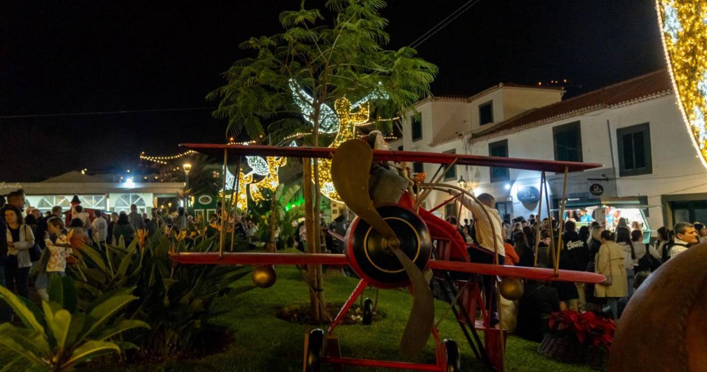 Veja a iluminação e decoração de Natal em Santa Cruz