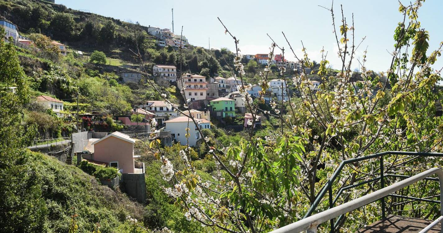 Jardim da Serra precisa de plano integrado de desenvolvimento agroflorestal, defende centro