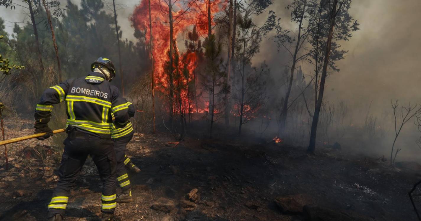 Incêndios: Mais de 5.500 operacionais combatiam 140 fogos às 03:30