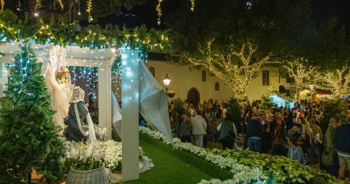 Veja a iluminação e decoração de Natal em Santa Cruz