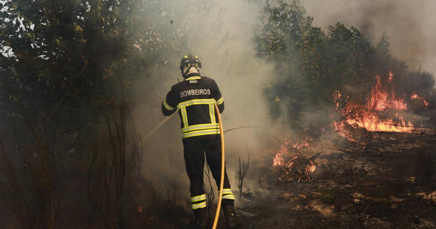 Incêndios: Fogo severo em Arouca com três frentes ativas, estradas cortadas e escolas fechadas