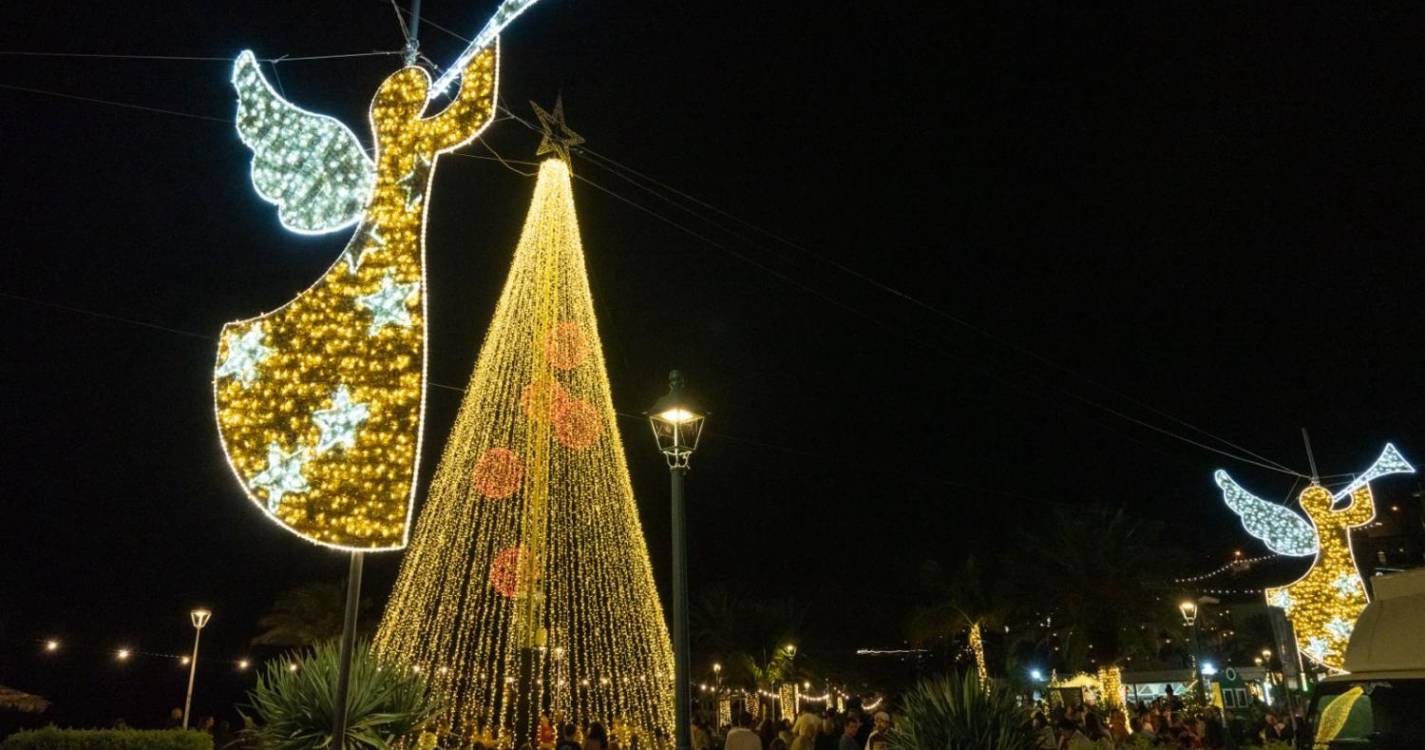 Veja a iluminação e decoração de Natal em Santa Cruz