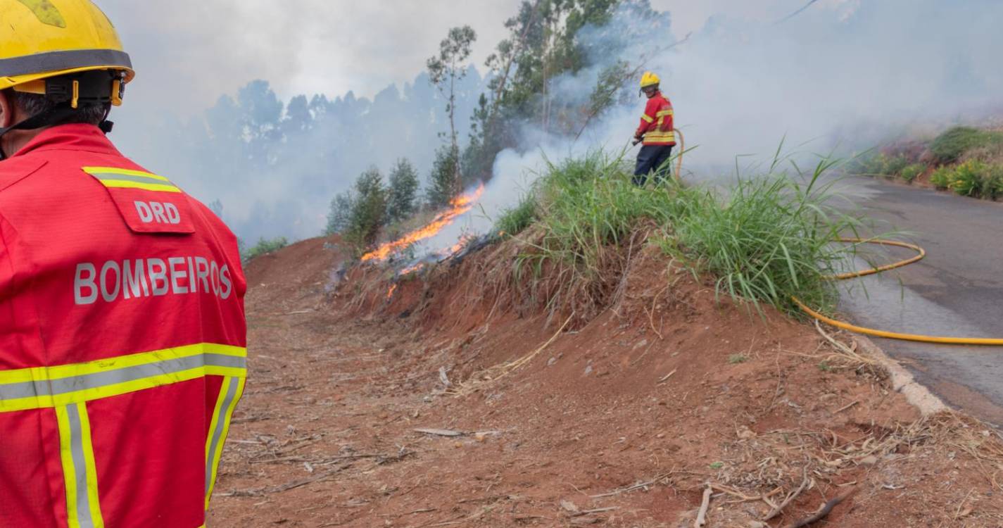 Incêndios: Autarcas madeirenses preocupados com vento e temperaturas que dificultam combate