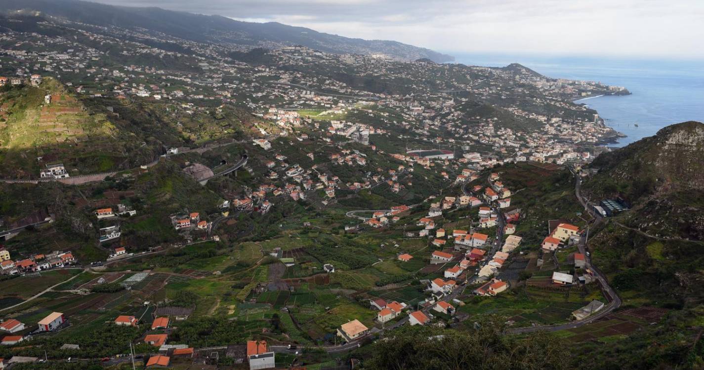 Eucalipto tombado em estrada no Cabo Girão mobiliza bombeiros