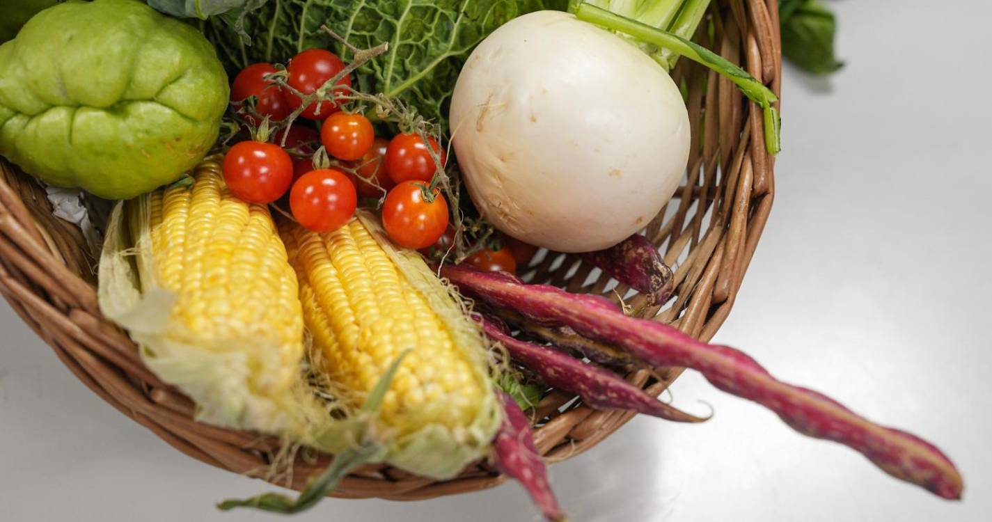 Valor do cabaz alimentar DECO PROTESTE aumentou 1,56% em novembro face a outubro