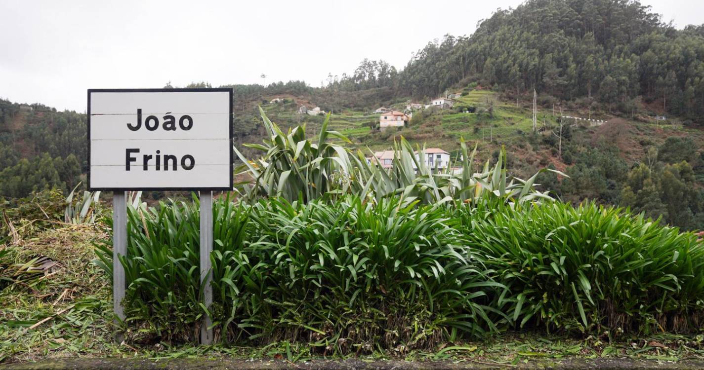 Perdidos e Achados: Couves de João Frino já quase passaram à história