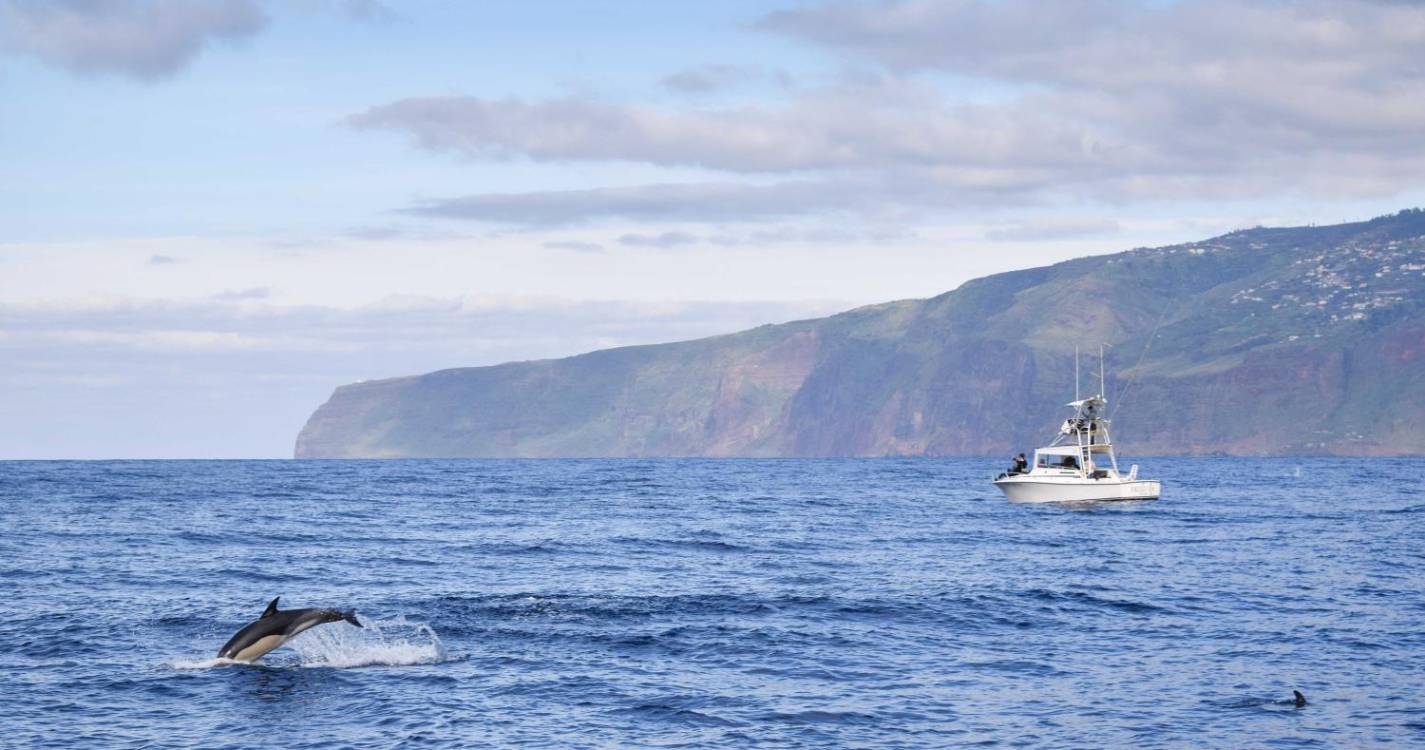 Capitania do Porto do Funchal cancela aviso de vento forte e mau tempo