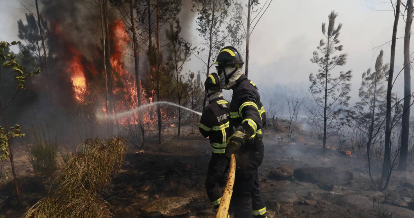 Três bombeiros mortos em Tábua