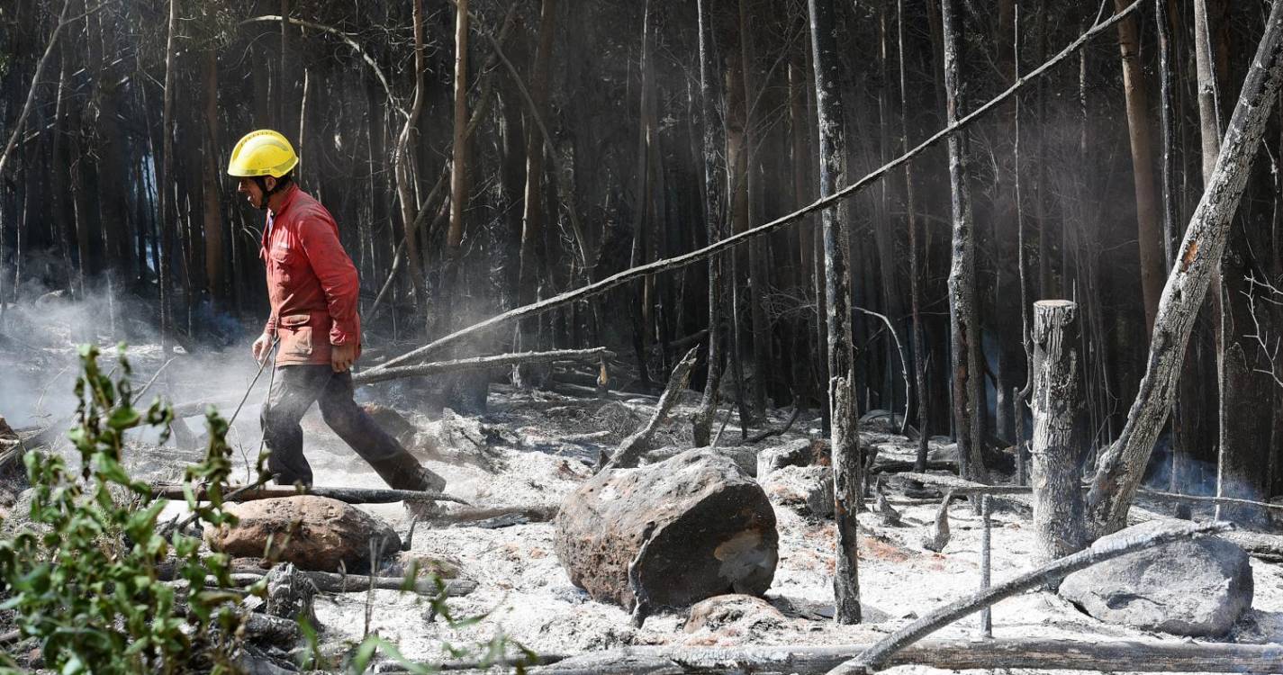 Incêndios: Abertas 237 investigações e detidos 13 suspeitos por fogos de setembro