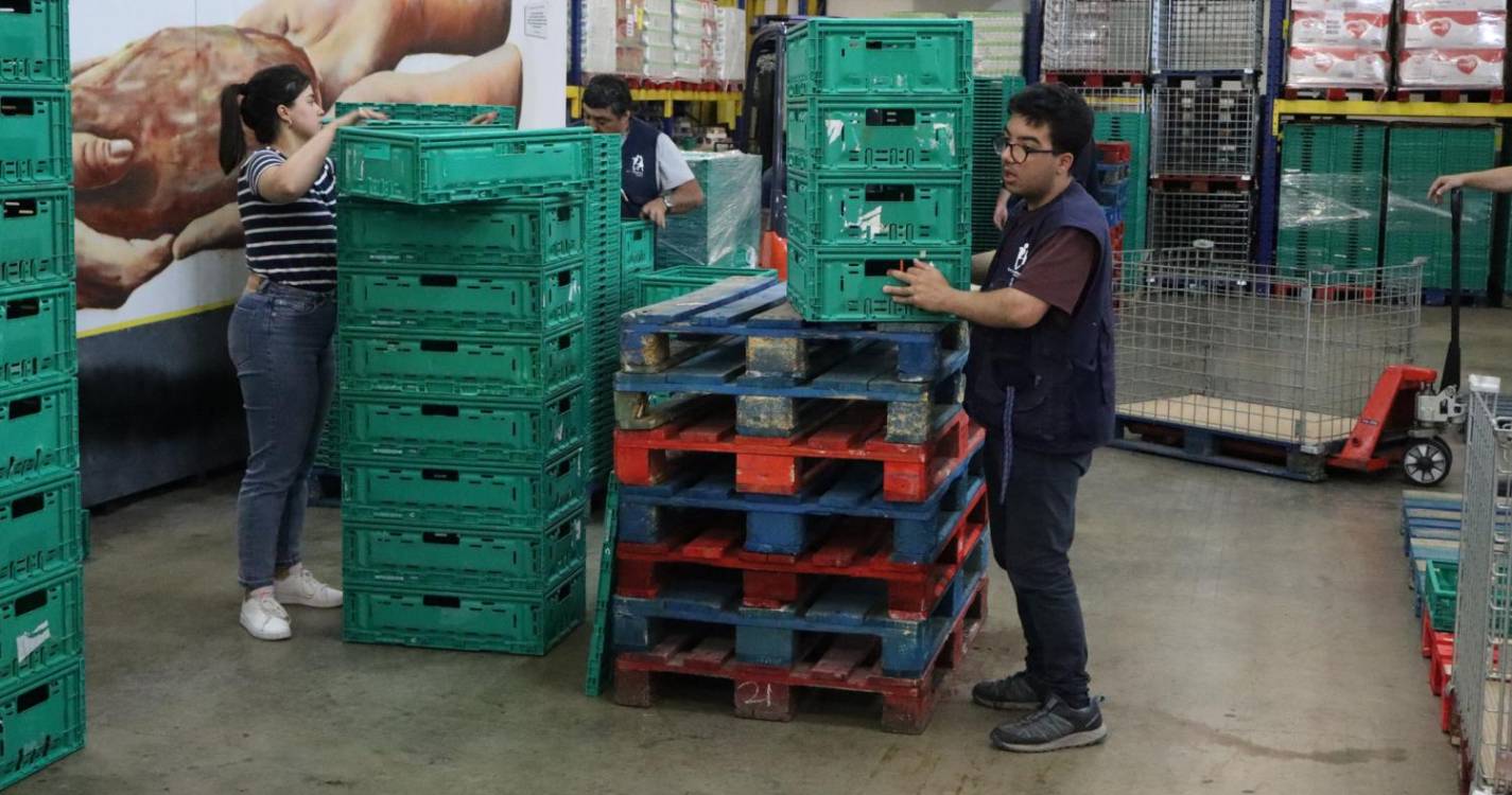 Campanha do Banco Alimentar na Madeira mobiliza 800 voluntários e 27 lojas