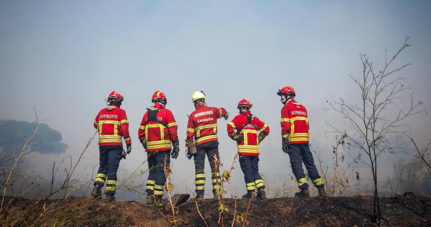 Fogo de Alcabideche dominado, 14 feridos ligeiros e 30 cavalos resgatados