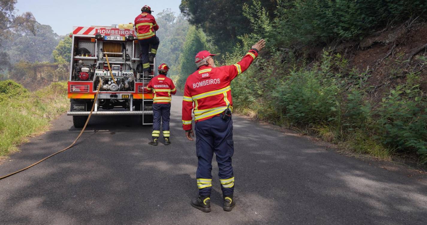 Incêndio em mato no Funchal mobilizou bombeiros esta madrugada