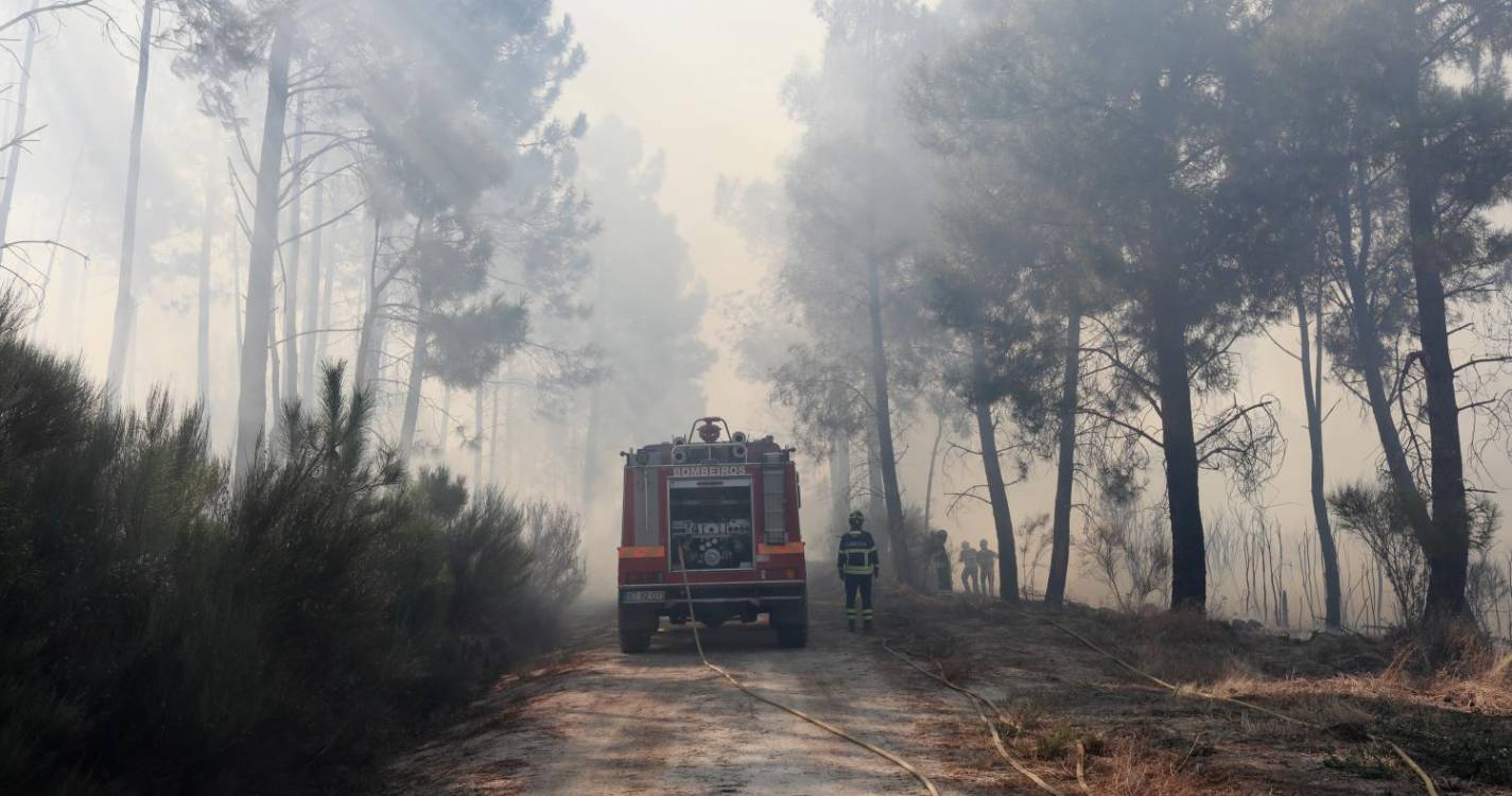 Incêndios: Número de mortos desde domingo sobe para quatro