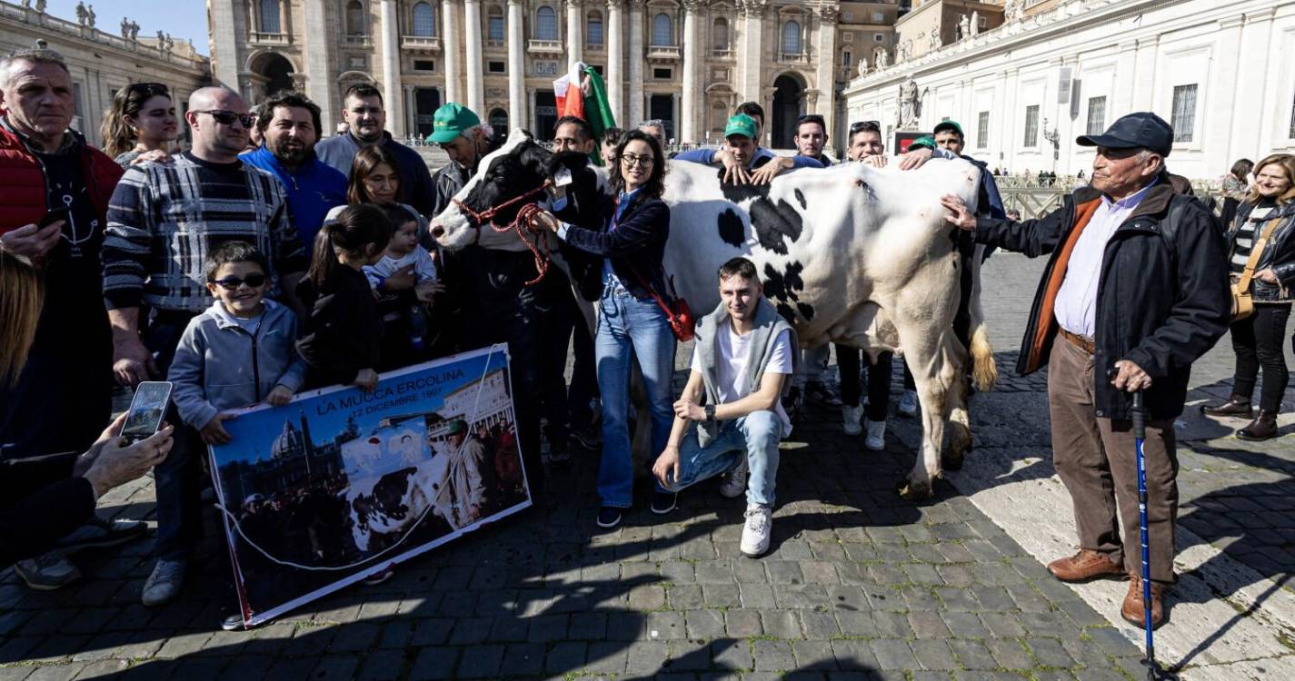 Agricultores italianos oferecem trator ao Papa e levam vaca ao Vaticano
