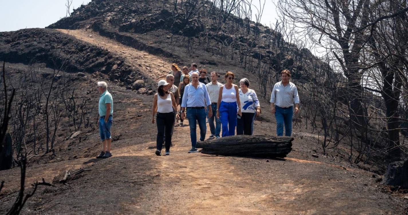 PS insiste na necessidade de uma “política consistente” de prevenção aos incêndios