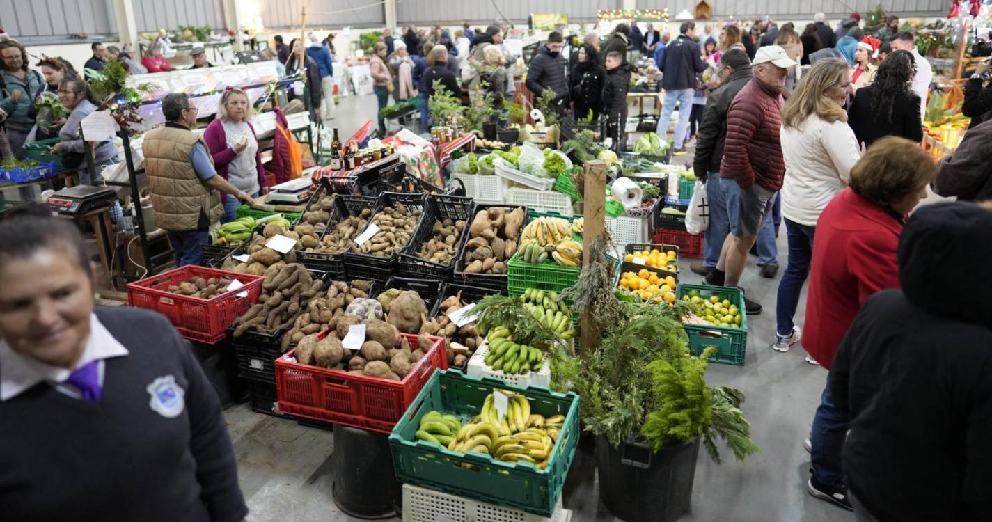 Calheta: Noite do Mercado já anima os Prazeres