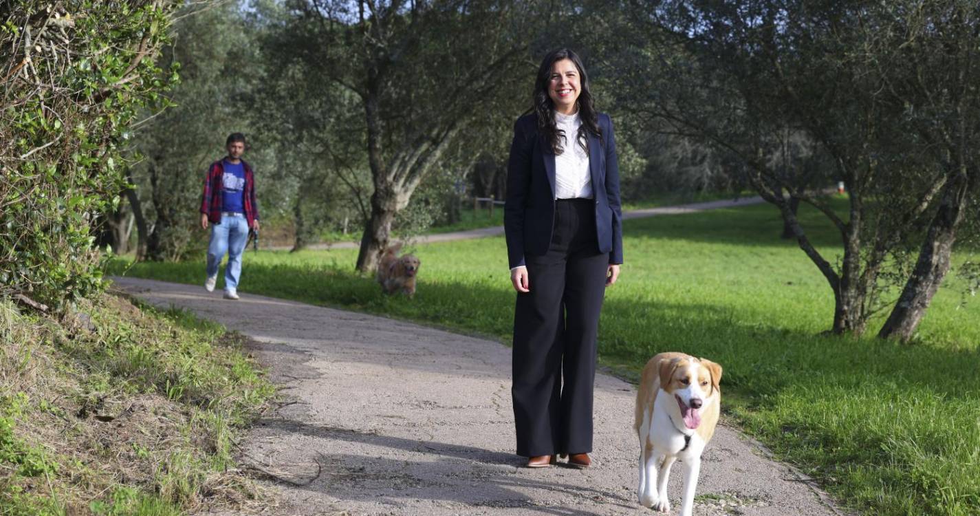 PAN não quer que novo Governo Regional esteja ligado a negócios investigados