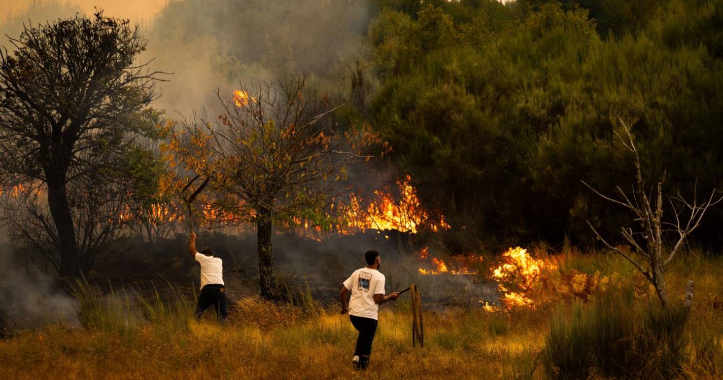 Incêndios: Fogos que lavram desde domingo mobilizaram “maior dispositivo de sempre”