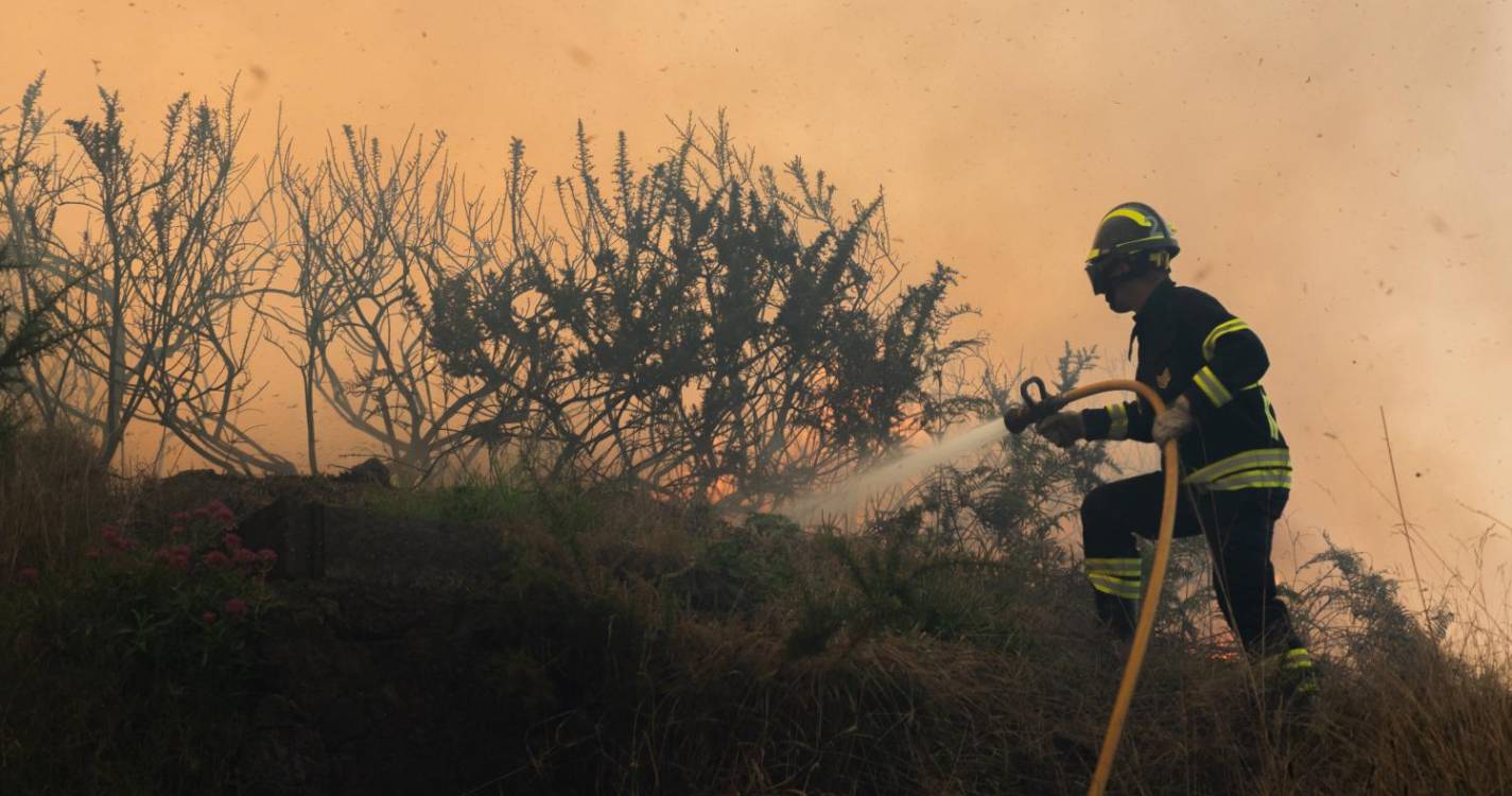 Madeira registou 95 incêndios entre 1 de junho e 8 de julho