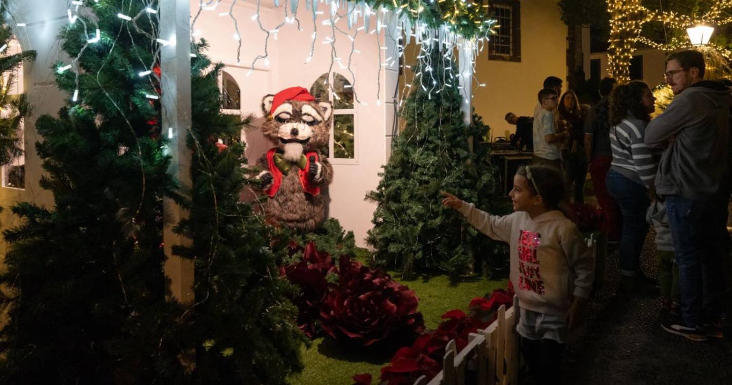 Veja a iluminação e decoração de Natal em Santa Cruz