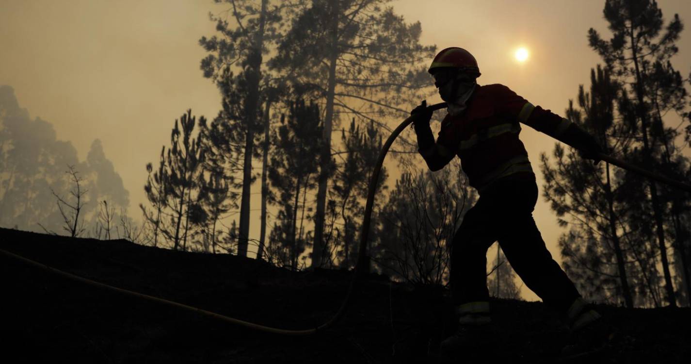 Incêndios: Fogo no Vimioso com “forte reacendimento” combatido por sete helicópteros