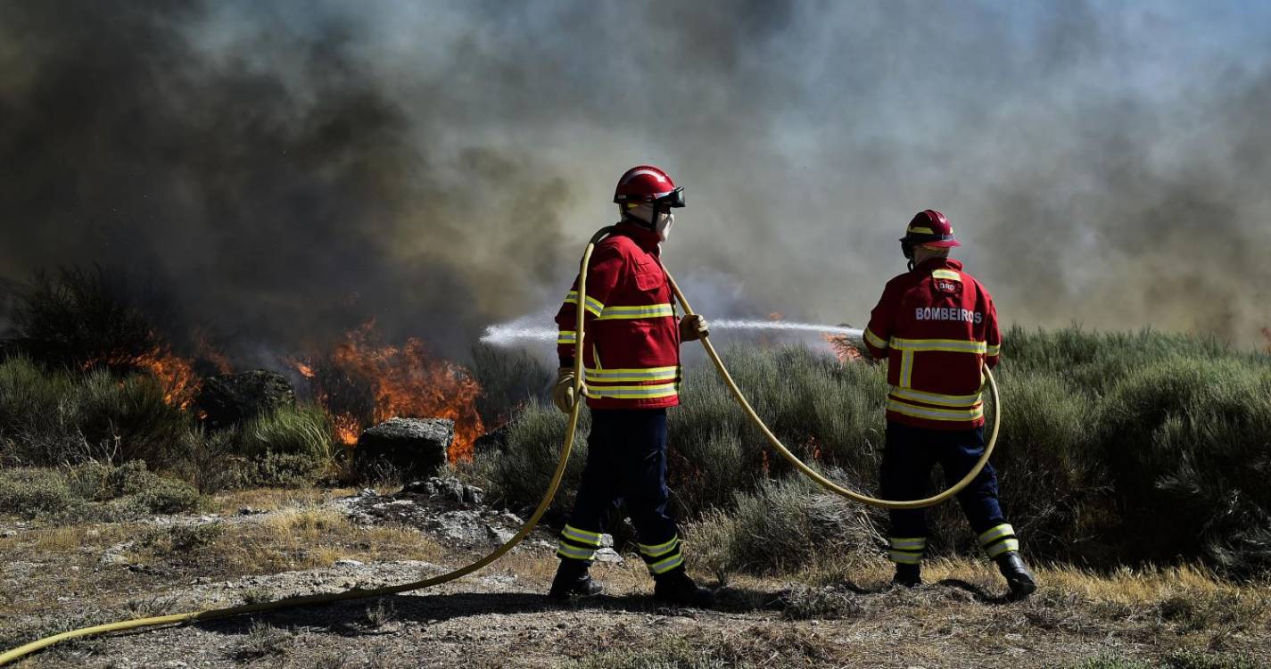 Incêndios: Fogos em Castro Daire os únicos em curso à 09:15 em Portugal continental