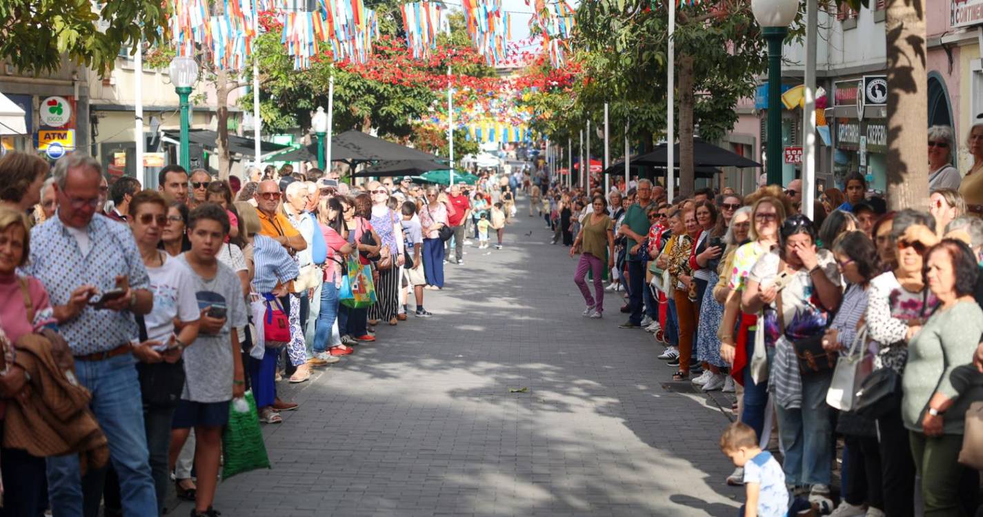 Marchas Populares nas ruas do Funchal (com fotos)