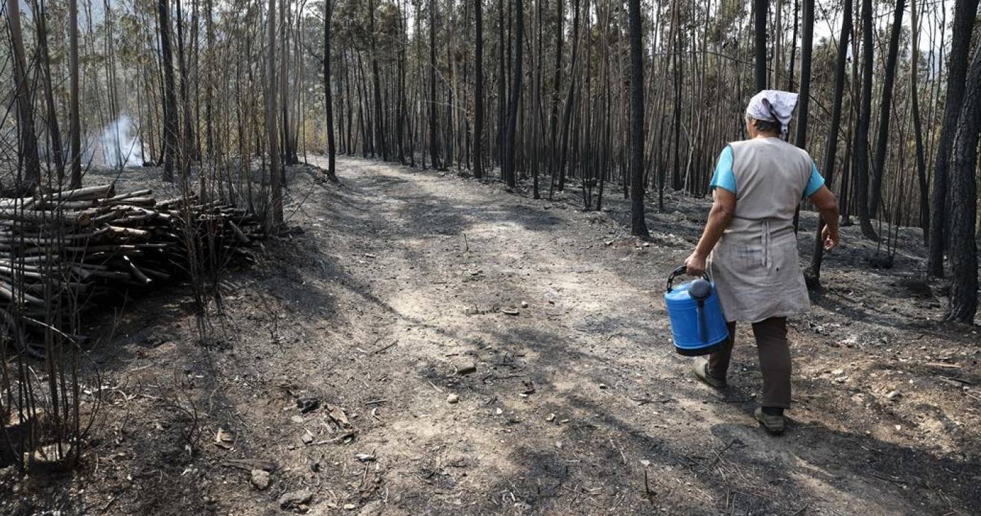 Incêndios: Governo vai financiar a 100% até 150 mil euros reconstrução e reabilitação das casas