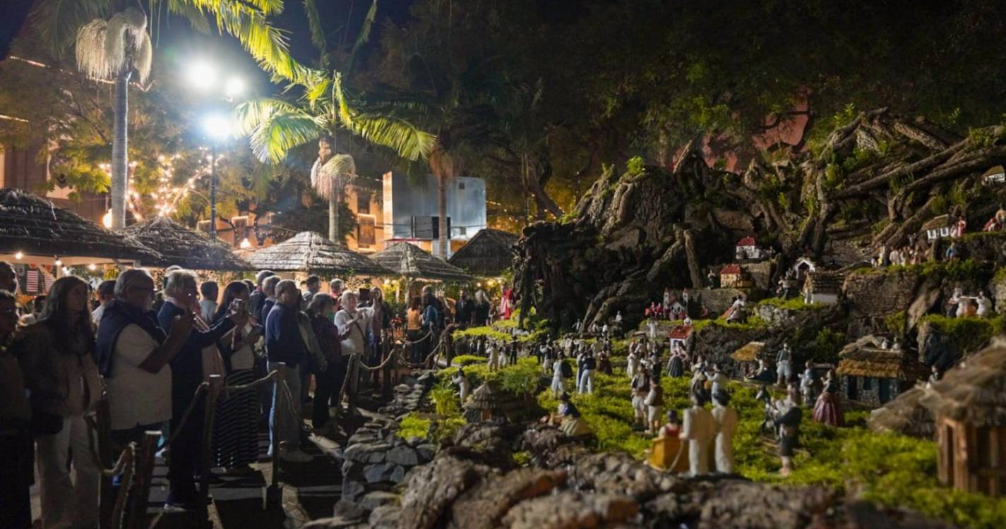 Veja a animação de Natal que enche o Funchal em 40 imagens