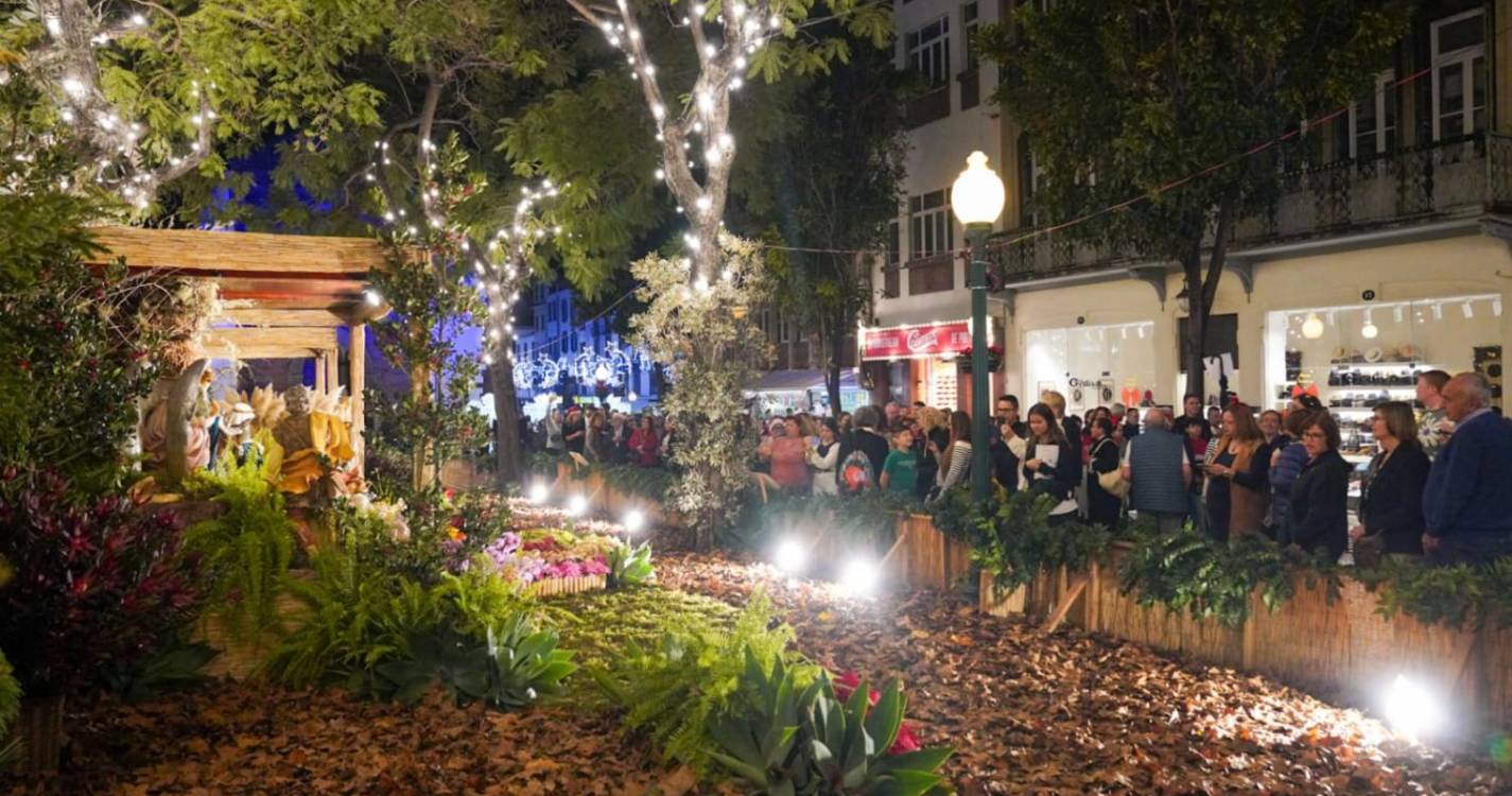 Veja a animação de Natal que enche o Funchal em 40 imagens