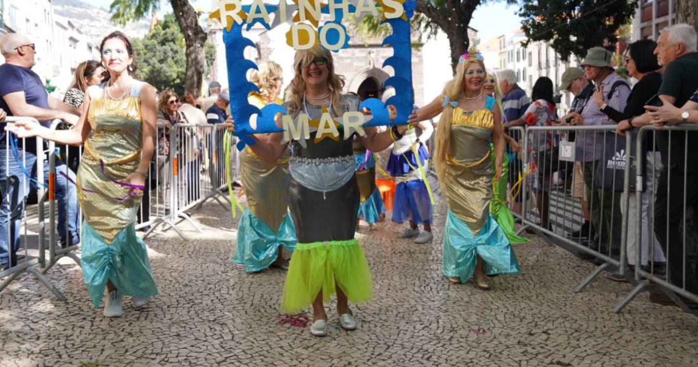 Cortejo Solidário sai à rua com centenas de espectadores (com fotos)