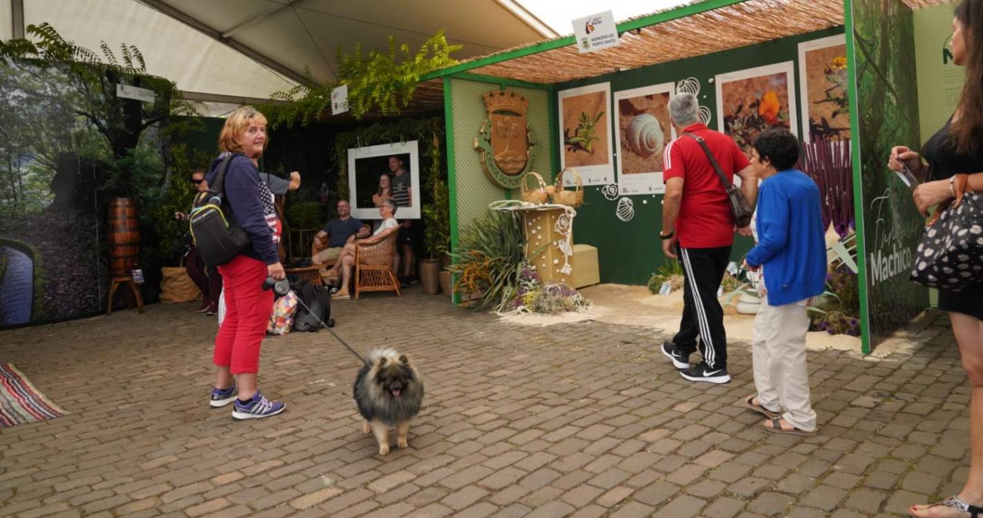 Veja como está o ambiente no ‘24 Horas a Bailar’