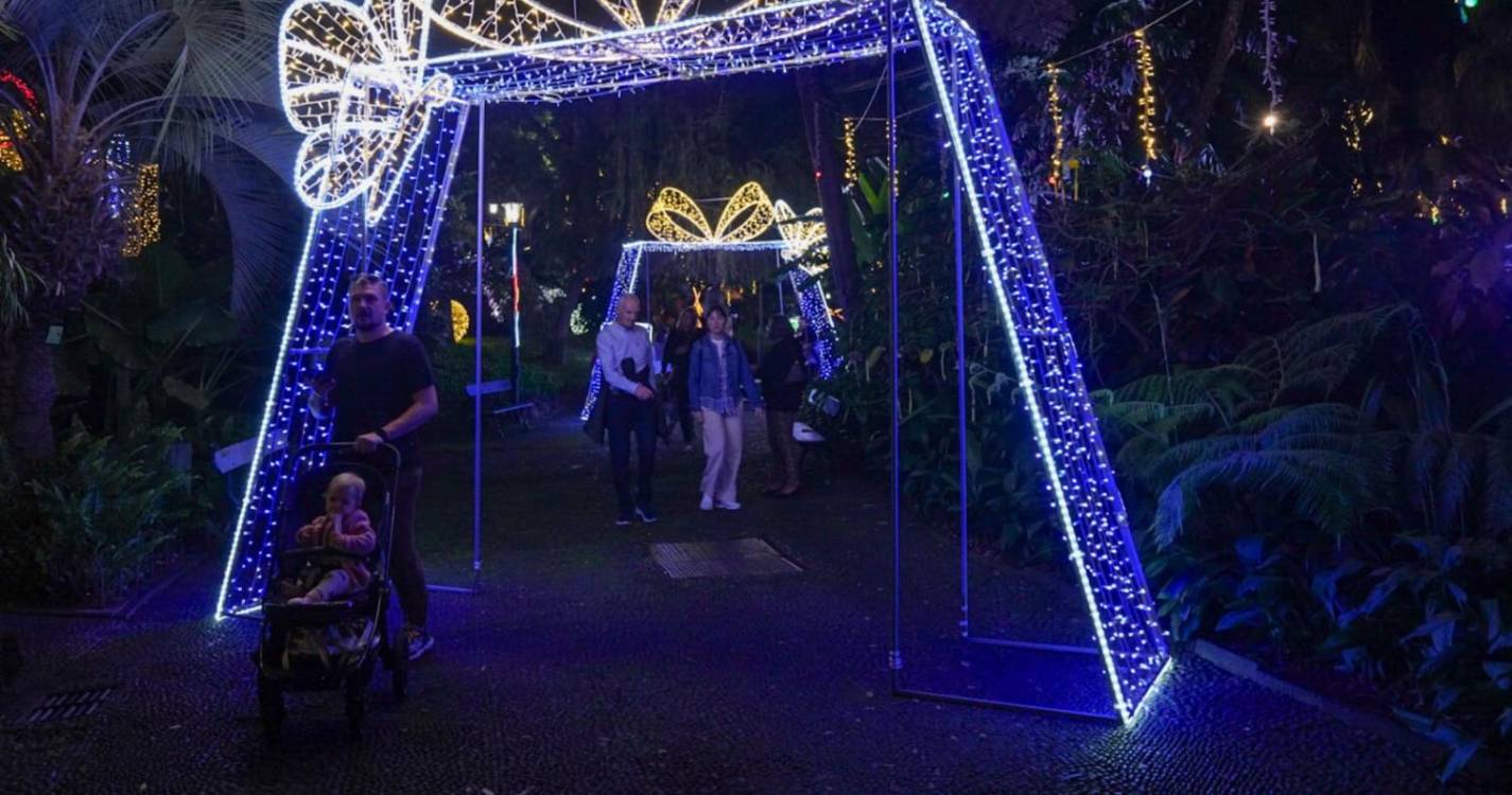 Veja a animação de Natal que enche o Funchal em 40 imagens