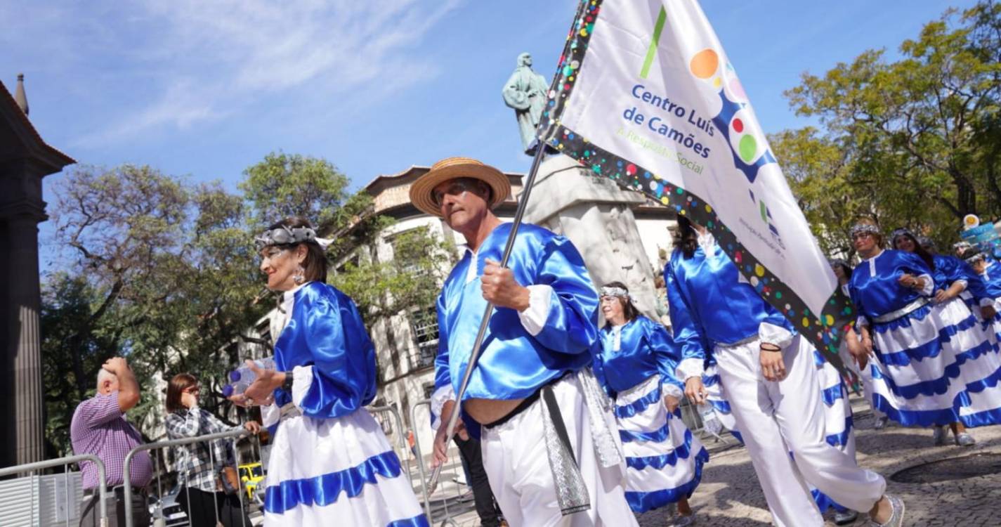 Cortejo Solidário sai à rua com centenas de espectadores (com fotos)