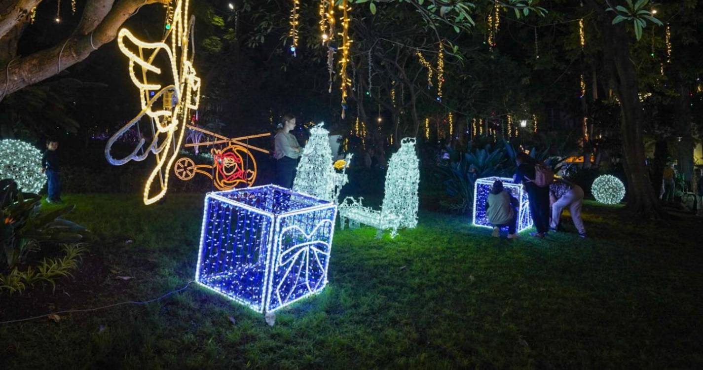 Veja a animação de Natal que enche o Funchal em 40 imagens