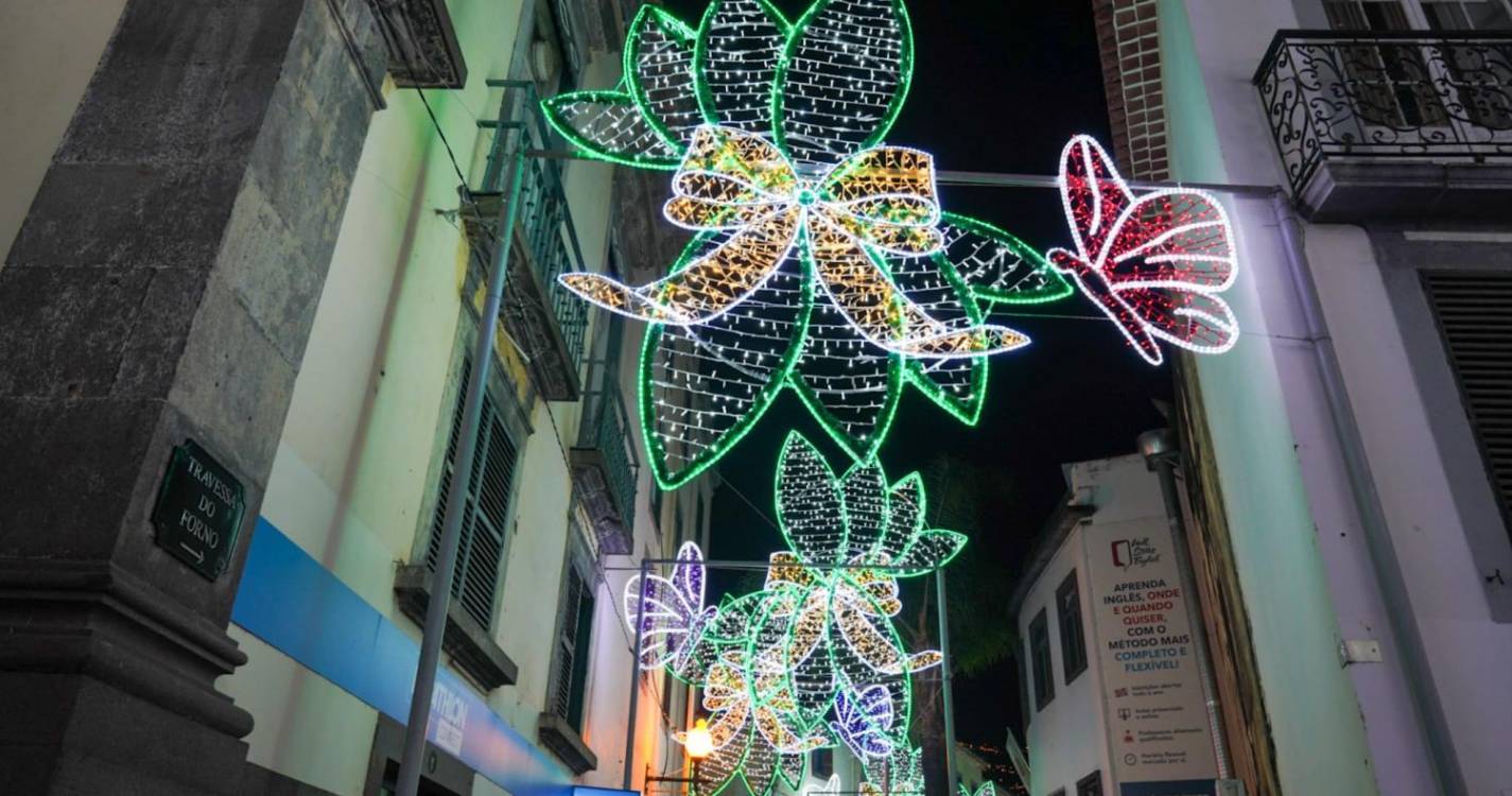 Veja a animação de Natal que enche o Funchal em 40 imagens