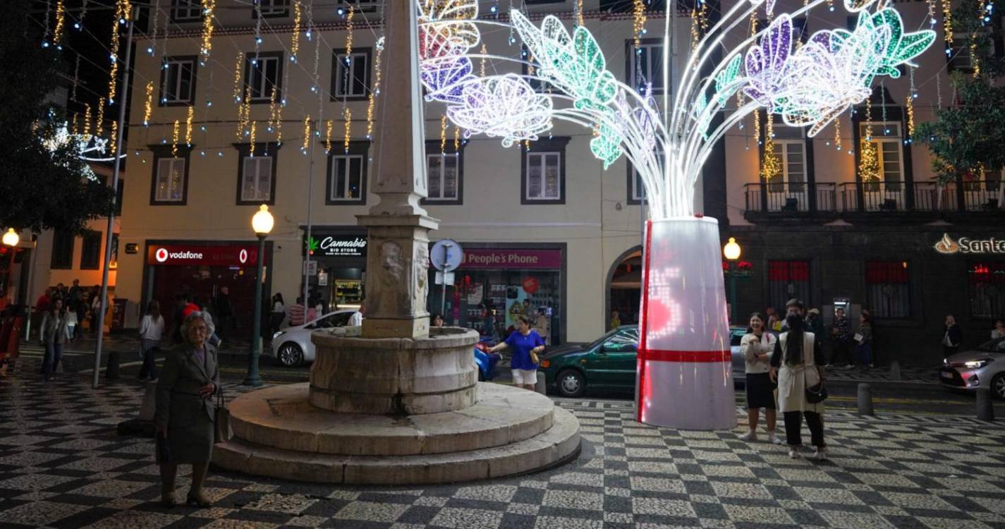 Veja a animação de Natal que enche o Funchal em 40 imagens