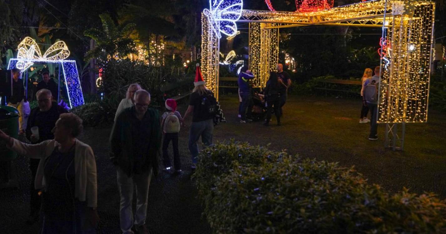 Veja a animação de Natal que enche o Funchal em 40 imagens