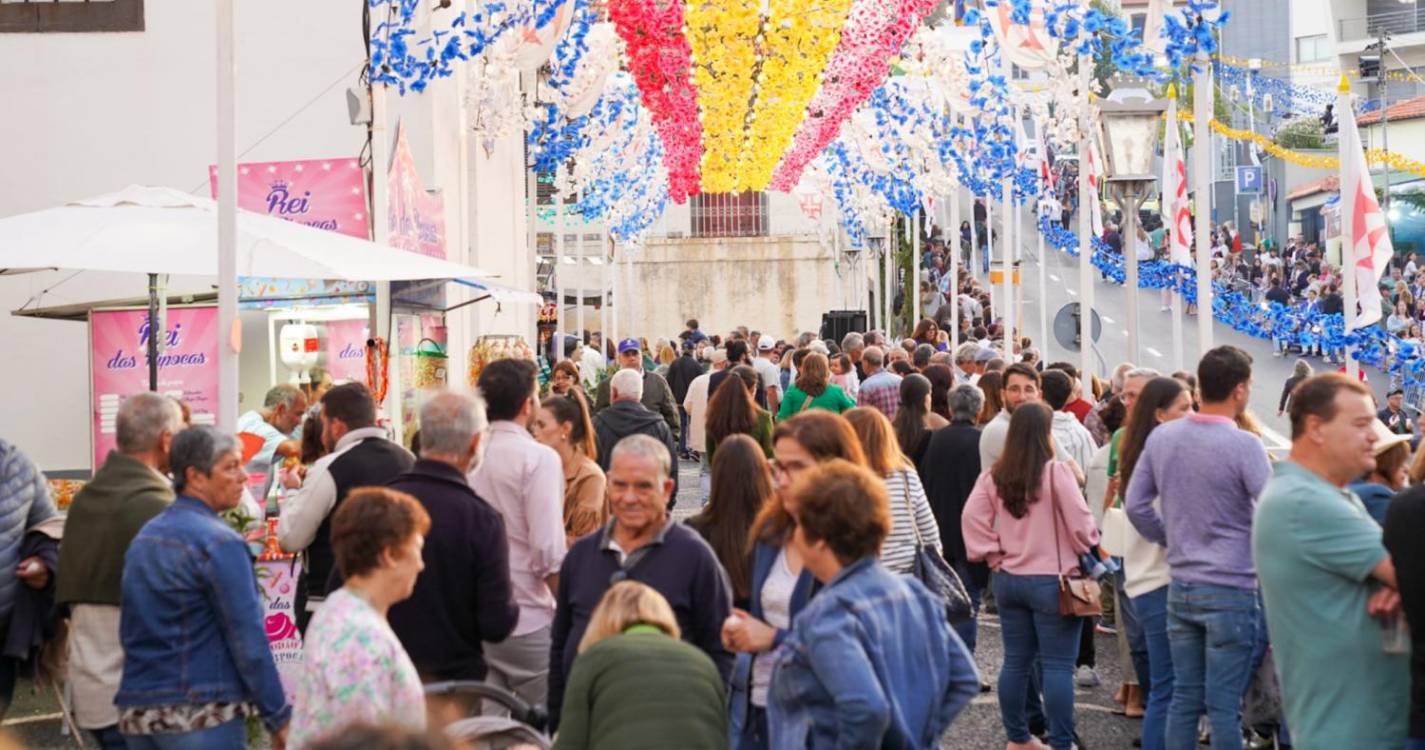 Santo António está em festa!