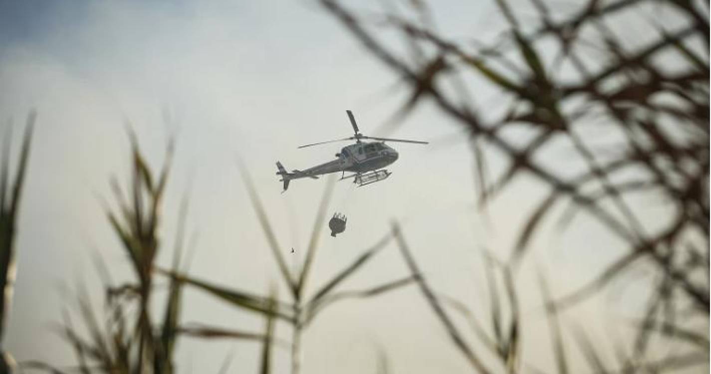 Dois dos militares da GNR que ocupavam helicóptero que caiu no rio Douro mortos