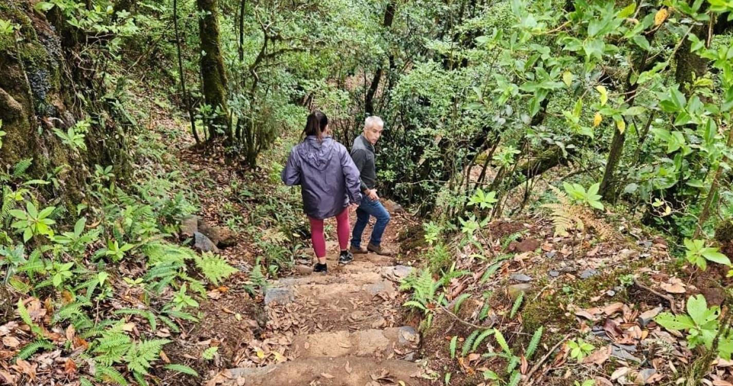 Instituto das Florestas espera que a Grande Rota contribua para diversificação turística