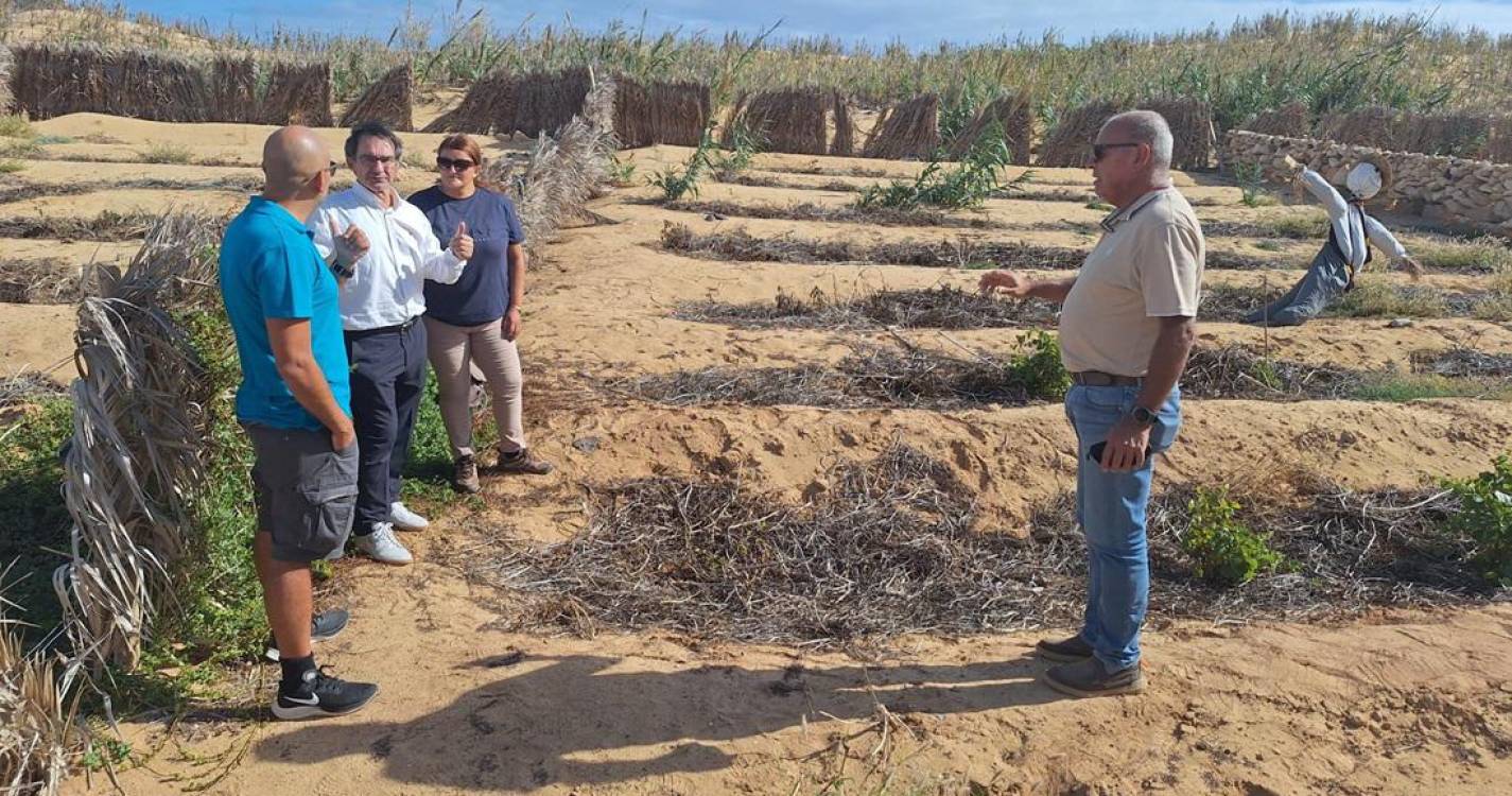 Agricultura mantém apoio aos agricultores do Porto Santo