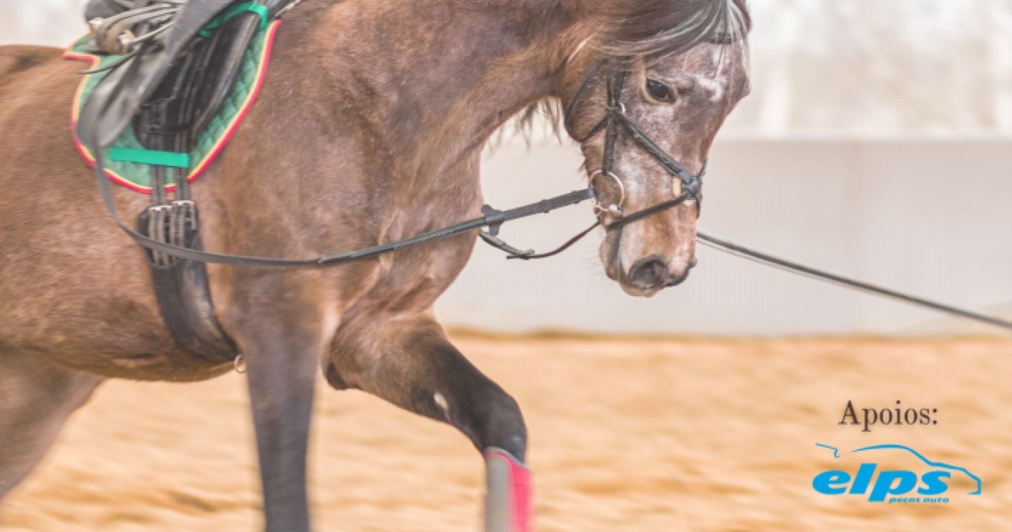 Quinta da Caldeira realiza primeiro Festival Equestre