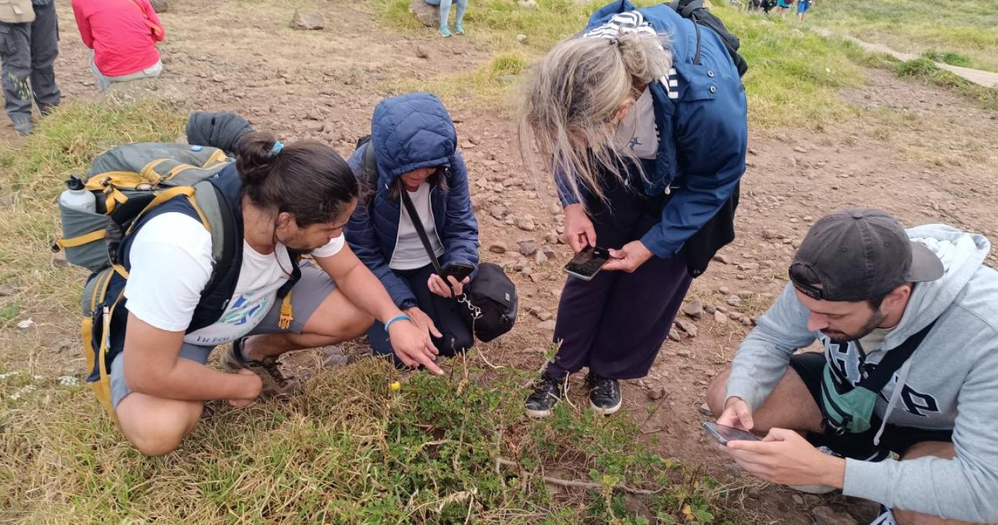 SPEA organiza BioBlitz no Maciço Montanhoso