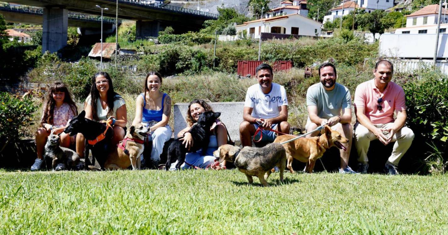 PAN reitera compromisso com o bem-estar dos animais