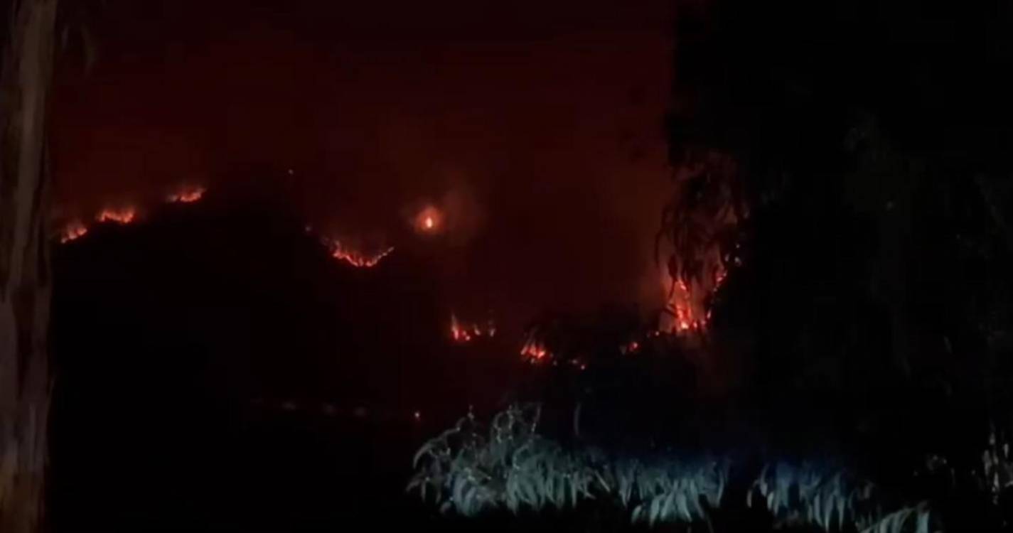 Chamas visíveis desde Santo António (com vídeo)