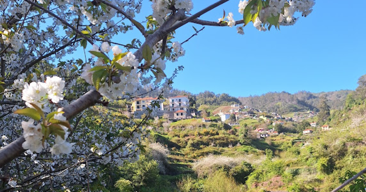 CDISA promove VIII edição do Roteiro das Cerejeiras em Flor